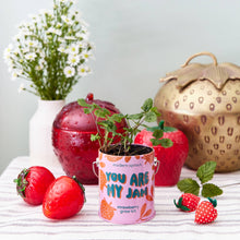 Load image into Gallery viewer, Complimentary Color Grow Kits