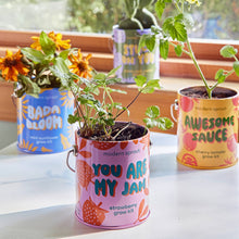 Load image into Gallery viewer, Complimentary Color Grow Kits