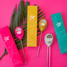 Load image into Gallery viewer, Moisture Meter | Hibiscus