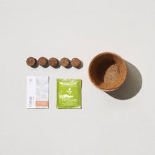 Load image into Gallery viewer, Tiny Terracotta Grow Kits