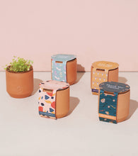 Load image into Gallery viewer, Tiny Terracotta Grow Kits