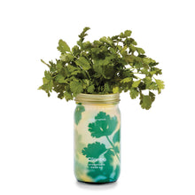 Load image into Gallery viewer, Herb Garden Jar