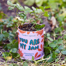 Load image into Gallery viewer, Complimentary Color Grow Kits