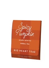 Load image into Gallery viewer, Spicy Pumpkin Tea For Two