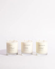 Load image into Gallery viewer, Fern + Moss Classic 2-Wick Candle