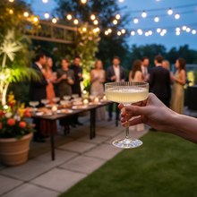 Load image into Gallery viewer, Malibu Ribbed Glass 10 Oz Champagne Coupe, Clear
