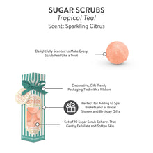 Load image into Gallery viewer, Petite Bonbon Tropical Teal Sugar Scrub
