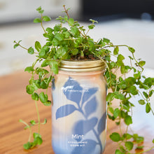 Load image into Gallery viewer, Herb Garden Jar

