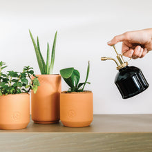 Load image into Gallery viewer, Tiny Terracotta Grow Kits
