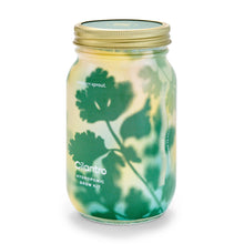 Load image into Gallery viewer, Herb Garden Jar

