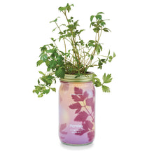 Load image into Gallery viewer, Herb Garden Jar
