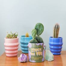 Load image into Gallery viewer, Complimentary Color Grow Kits
