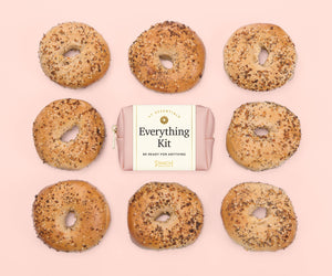 Everything Kit | Blush Vegan Leather