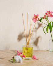 Load image into Gallery viewer, Maui Reed Diffuser
