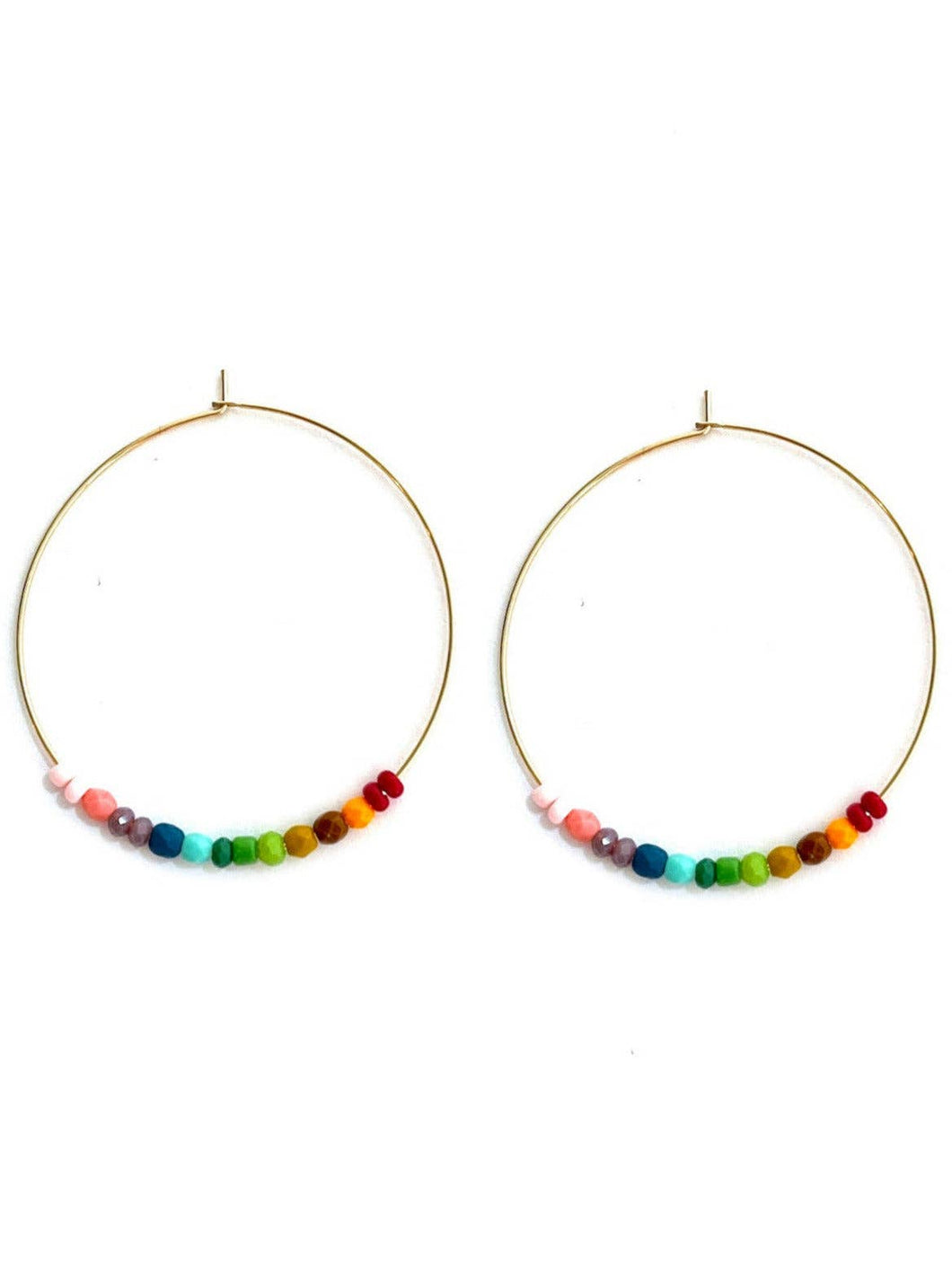 Triumph Rainbow Earrings